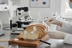 دانستنی‌های دارویی برای خانواده‌ها؛ ساپونین‌ها در نان کامل: ترکیبات فعال پنهان در سفره روزانه