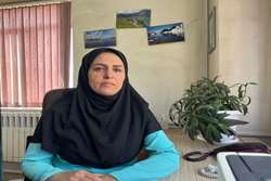 نوزده سال همراهی با دانشجویان؛ روایت مسئول کتابخانه داروسازی از تجربه کتابداری