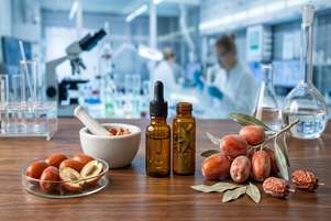 سنجد؛ از میوه سنتی ایرانی تا موضوع پژوهش‌های فارماکوگنوزی